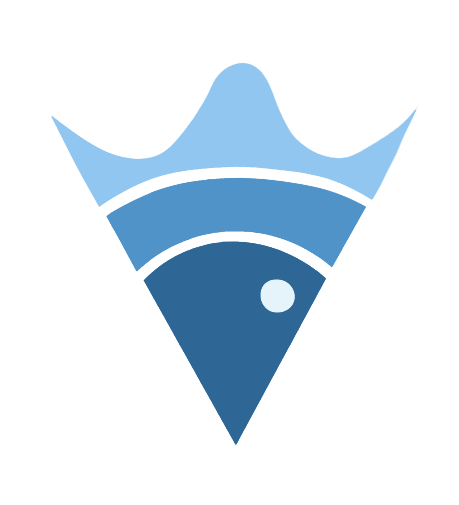 VisualEcho Logo